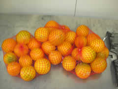 ftrof04