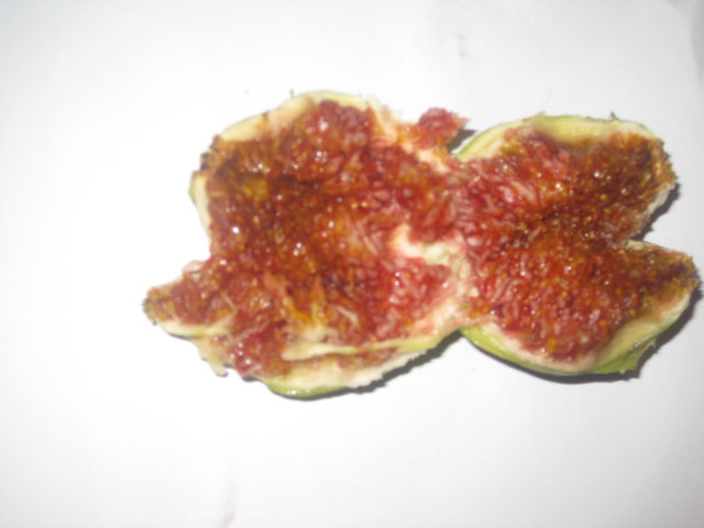 royal figs
